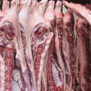 白条肉